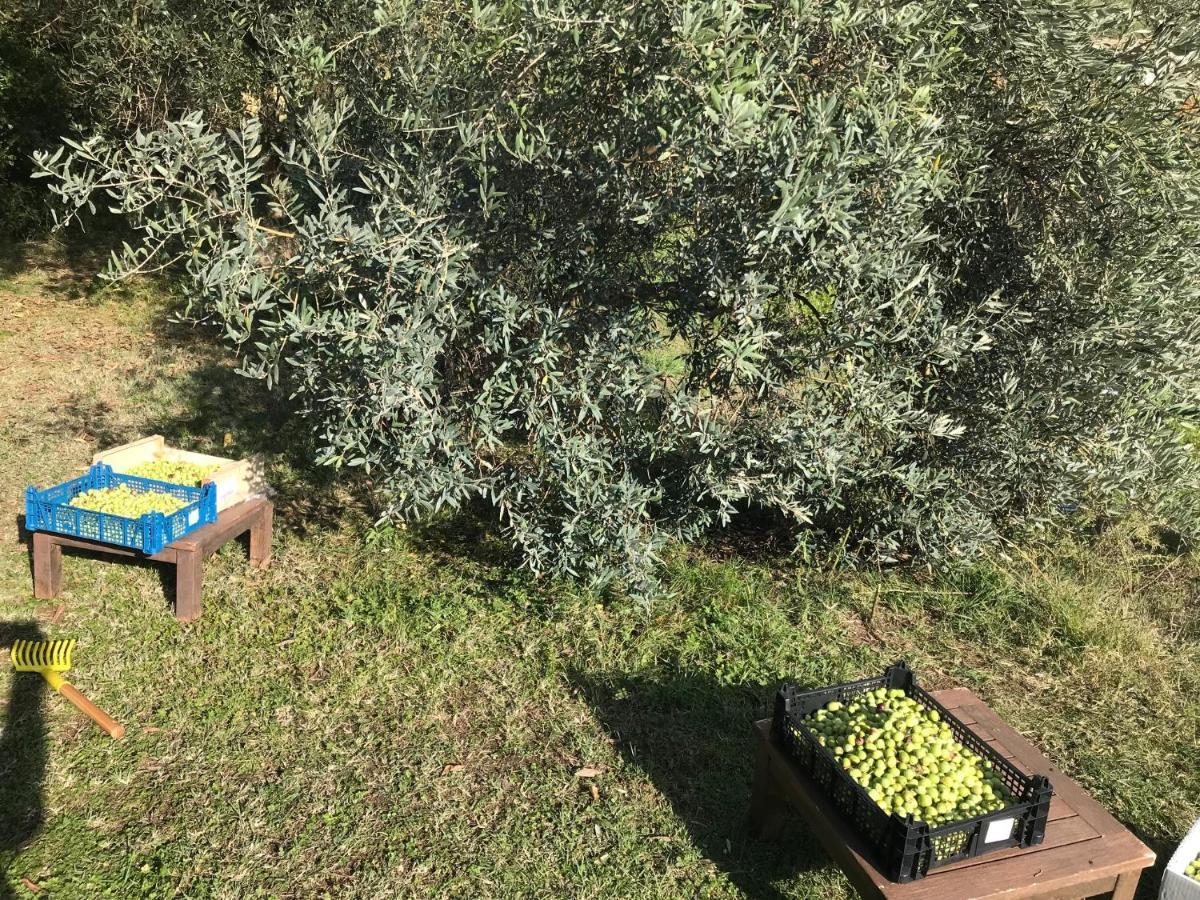 Mas De Foncaudette Bed & Breakfast Lourmarin Luaran gambar